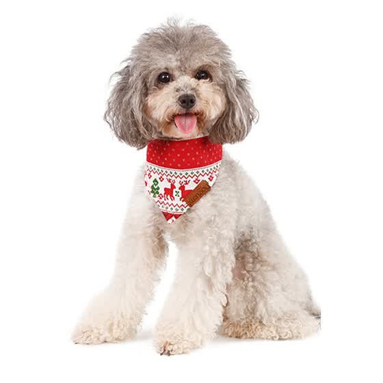 dog bandana shop