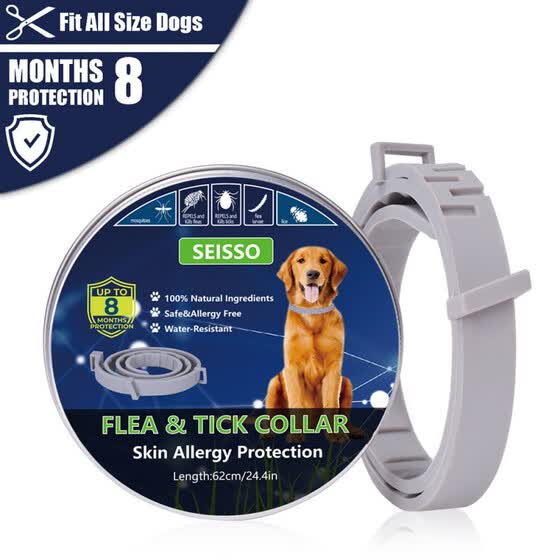 pet dog accessories shop