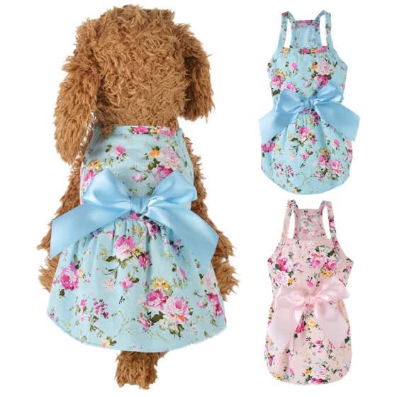 dog summer clothes