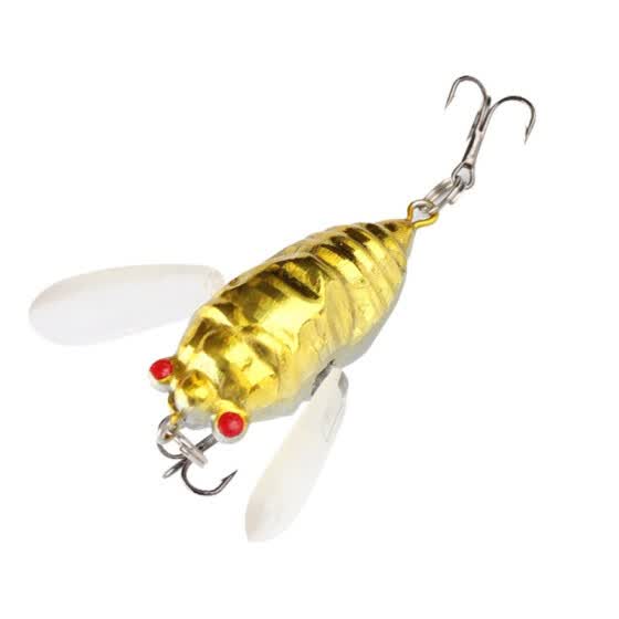 beach fishing bait