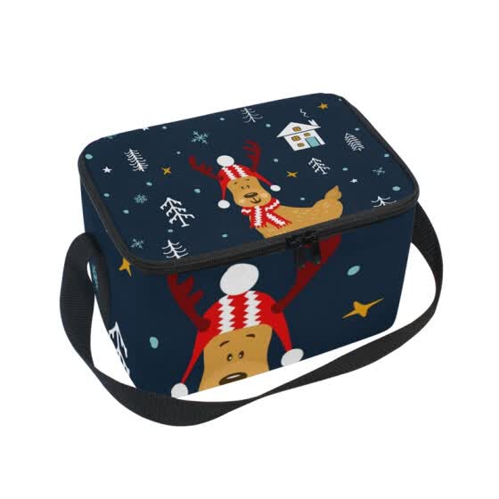 ladies insulated lunch tote bags