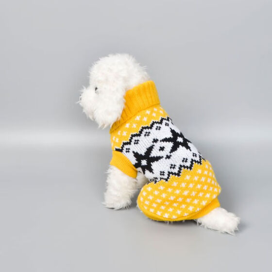 dog sweaters and coats for small dogs