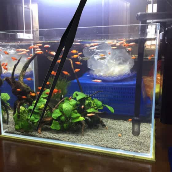 buy fish tank accessories