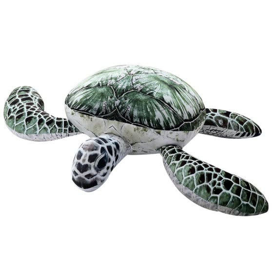 tortoise soft toy online