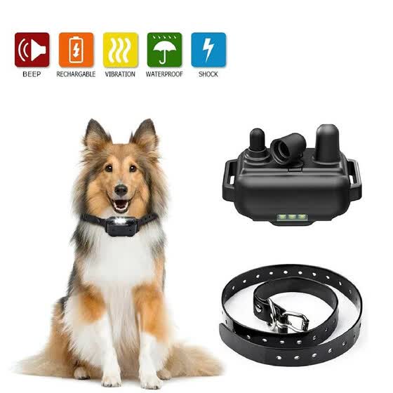 best dog shock collar