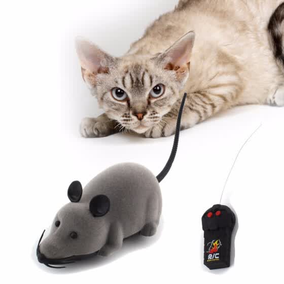 best remote control mouse cat toy