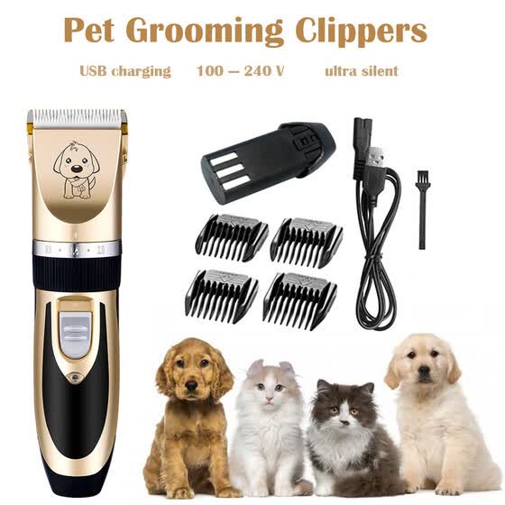 dog clippers online