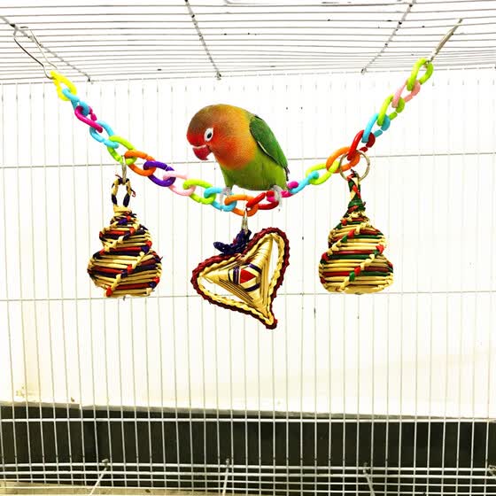 cockatoo bird toys