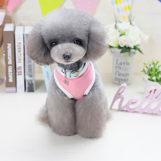 small dog vest