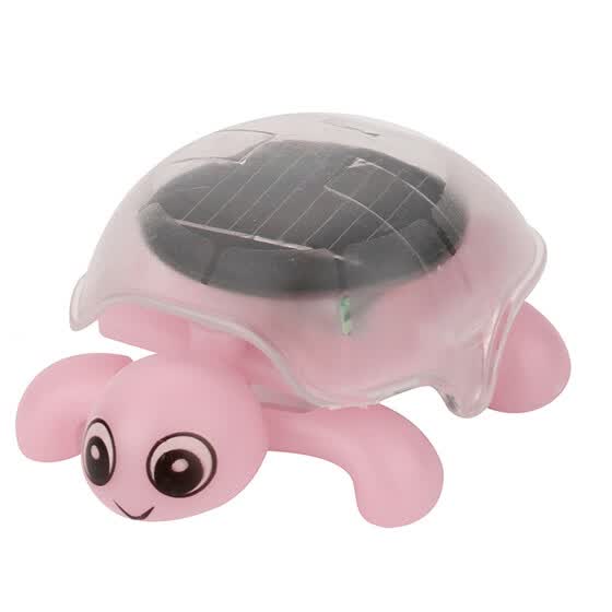 brain educational toys