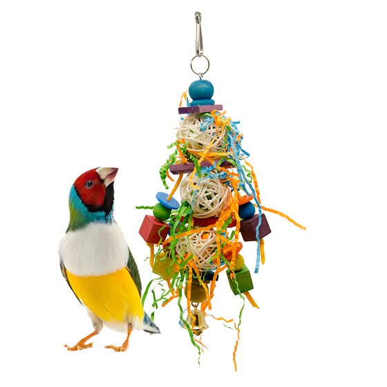 bird toys and accessories