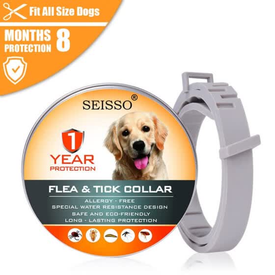 essential oil flea and tick collar