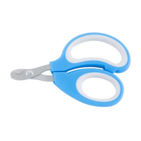 puppy grooming tools