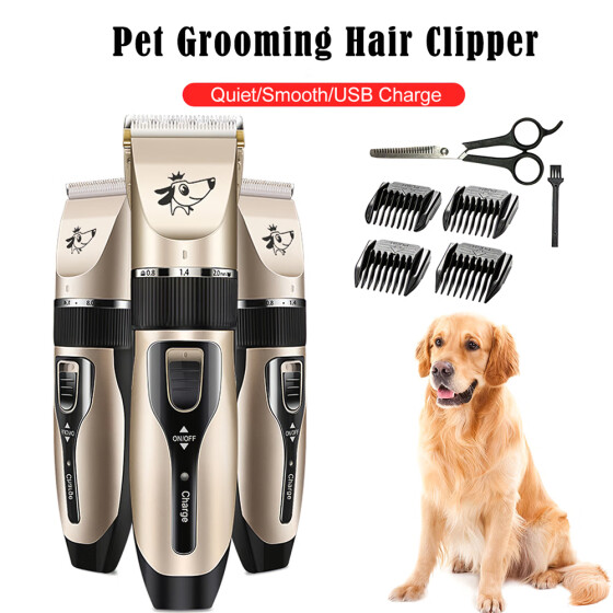 best dog grooming kit for beginners