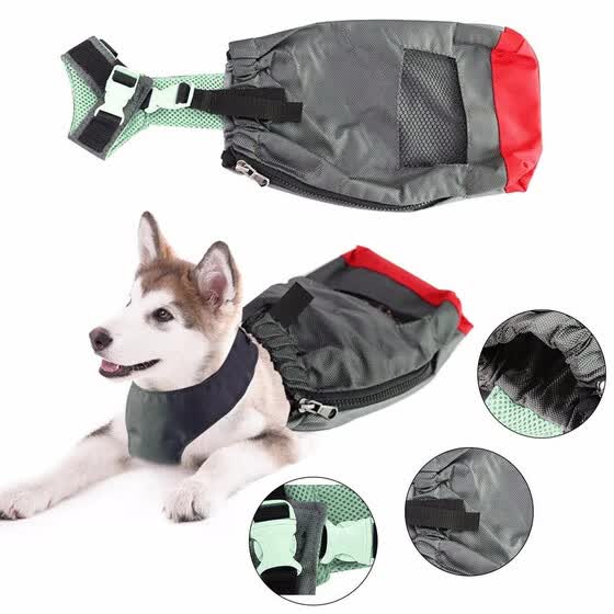paralyzed dog harness