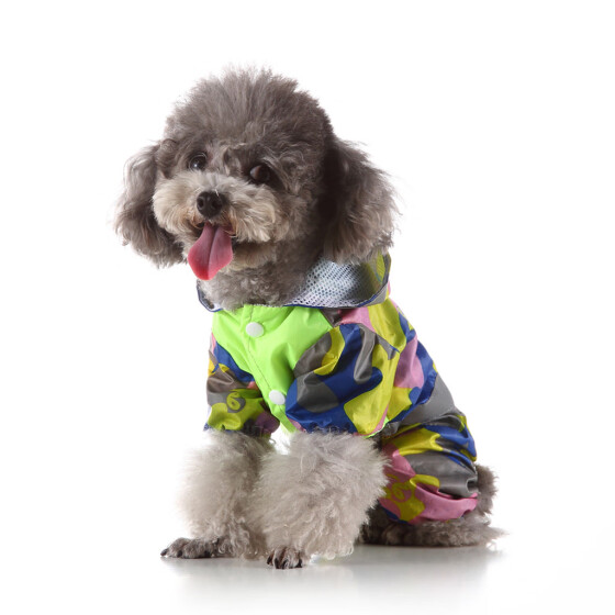 outdoor dog clothes