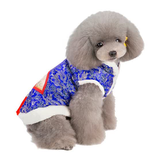 dog dress online