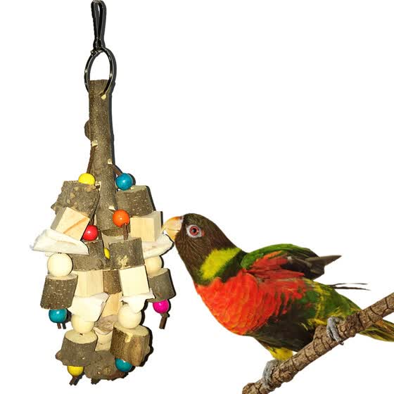 cockatoo bird toys