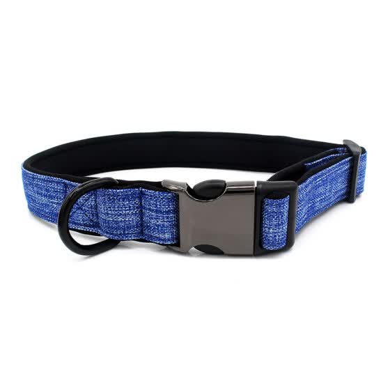 dog collars online