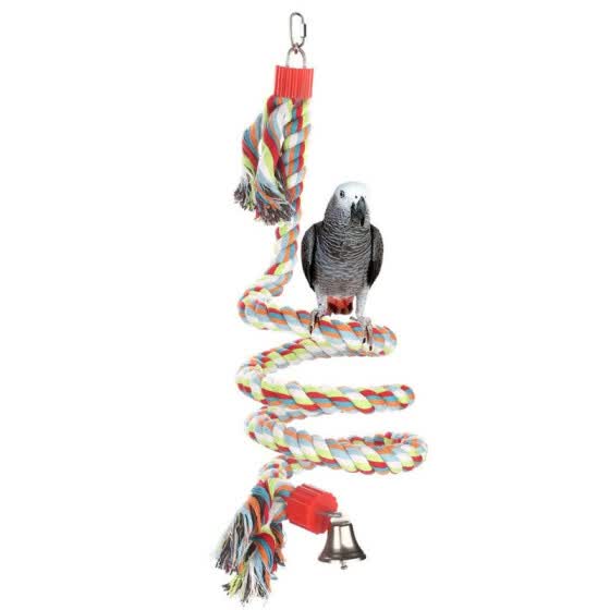 parrot bird toys