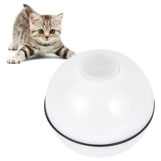 self rolling ball for cats