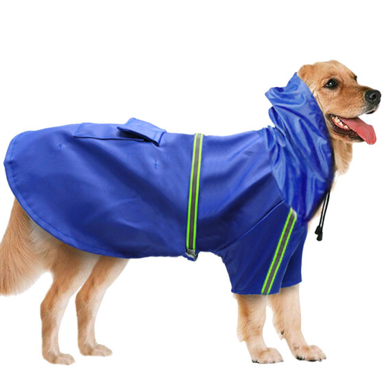 dog coats online