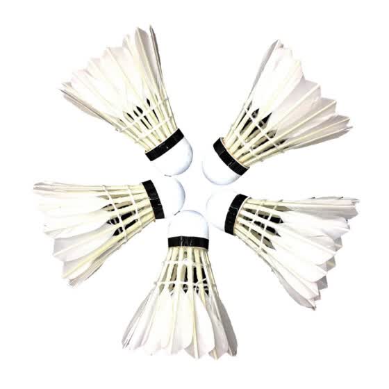 shuttlecock game online