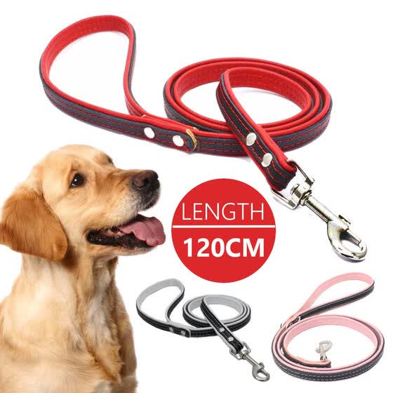 puppy belt online