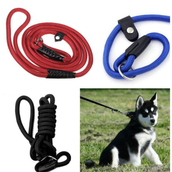 puppy dog lead