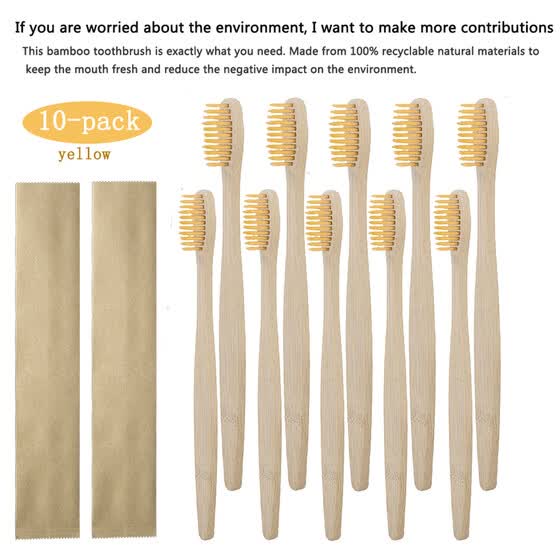 best reusable toothbrush