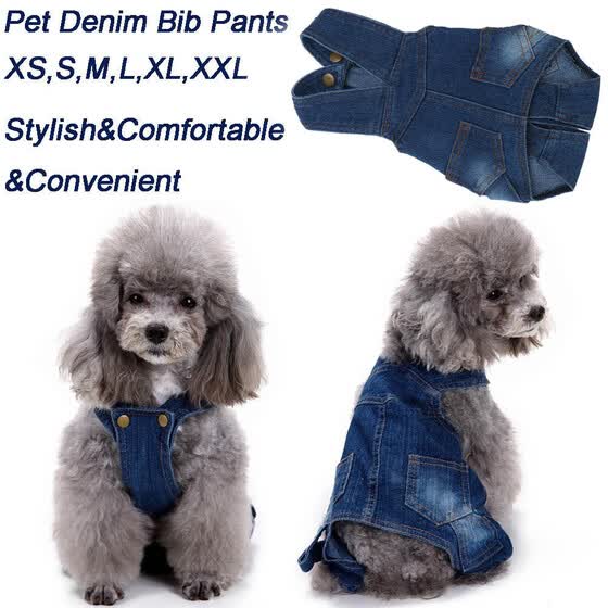 small dog pants