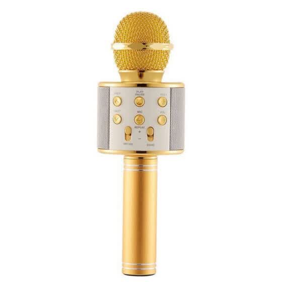 mic with speaker online