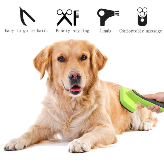 dog hair grooming tools