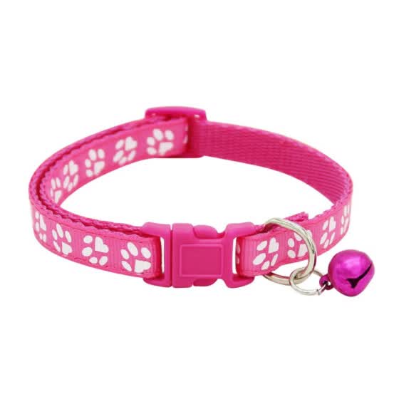 pet collars and harnesses