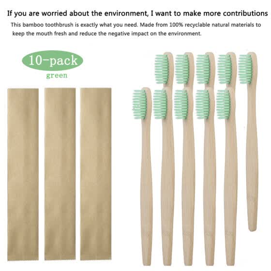 reusable toothbrush heads