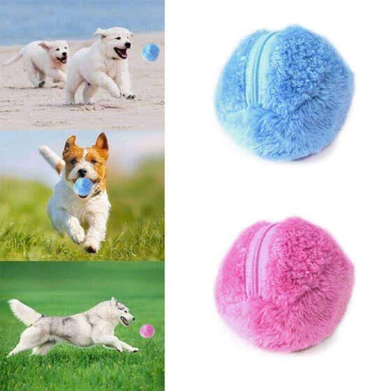 toys for pets online