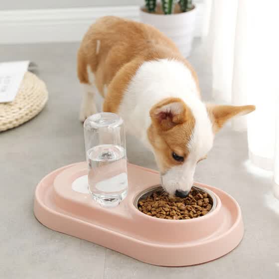 animal water bowl