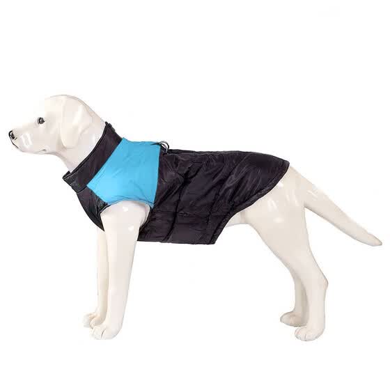 dog padded coat