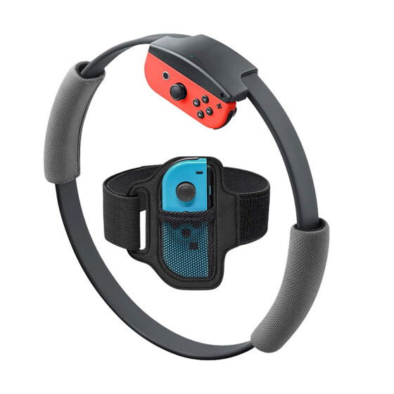 nintendo ring fit accessories