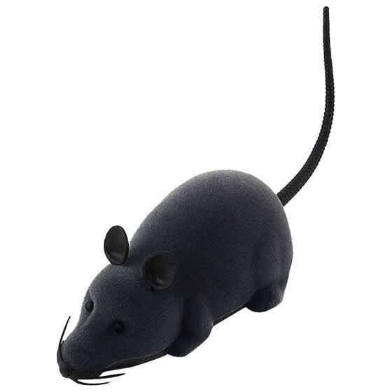 rc mouse for cats