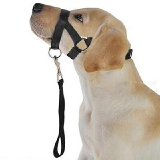 dog muzzle lead