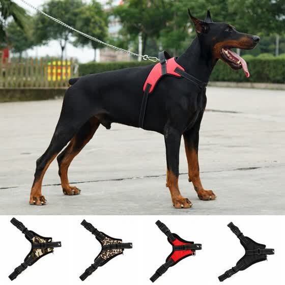 durable harness for dogs