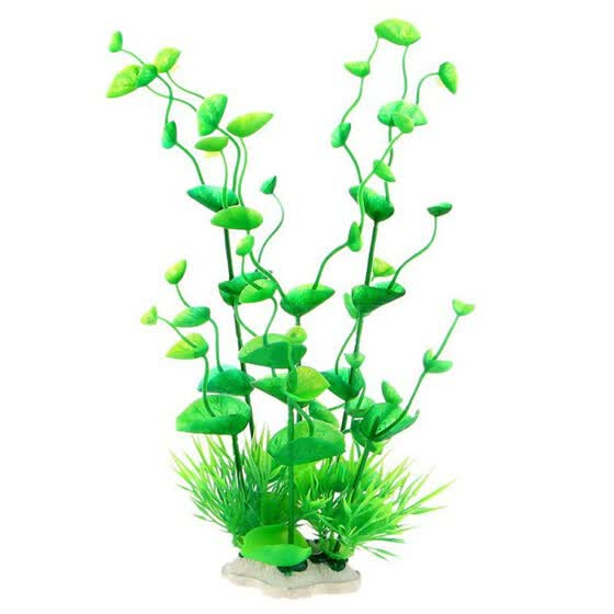 aquarium decoration items online