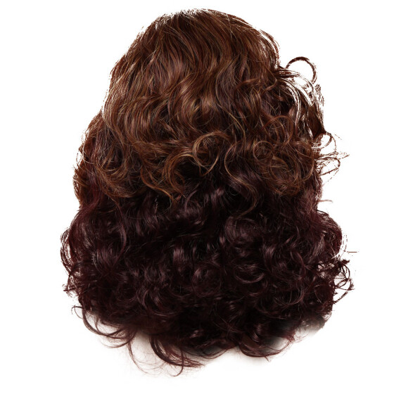 Shop Lokieas Synthetic Long Afro Curly Wig Mix Blonde Wigs For Women African American Hair Online From Best Styling Tools On Jd Com Global Site Joybuy Com
