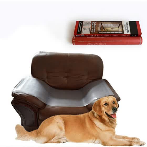 dog repellent for furniture