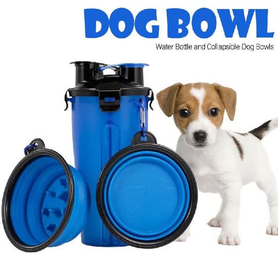 outdoor dog food bowl