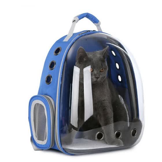 transparent pet bag