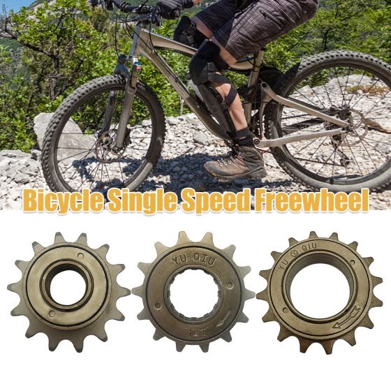 single speed freewheel bike