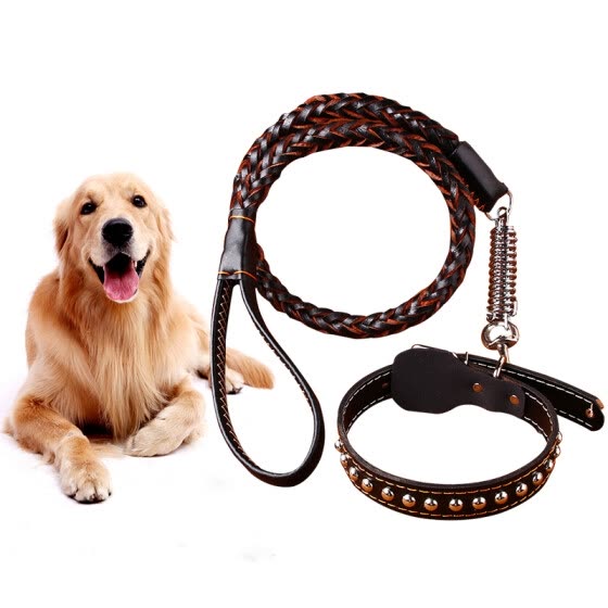 big dog collars and harnesses
