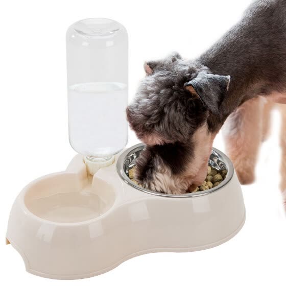 dog drinking bowl